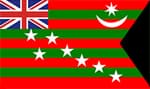इस ध्वज को 1917 में घरेलू शासन आंदोलन के दौरान अपनाया गया 