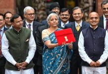 Union Budget 2024 : वित्त मंत्री सीतारमण ने कहा- CNG, PNG में बायोगैस का सम्मिश्रण होगा अनिवार्य