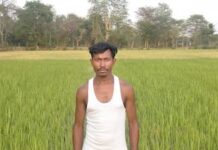 Adani Foundation introduces tribal farmers at ACC Chaibasa site to sustainable irrigation techniques for year-round yield