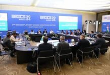 BRICS Employment Working Group Meeting 2024 Convened in Sochi, Russia
