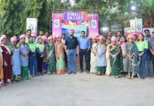 स्व सहायता समूह की महिलाओं ने बालको में लगाया दिवाली बाजार
