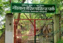 छत्तीसगढ़ : 293 मिलियन साल पुराने समुद्री जीवाश्मों का राज़ खोलता गोंडवाना मरीन फॉसिल पार्क