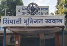 SECL सिंघाली खदान से कोयला निकालने चीन की कंपनी की हुई एंट्री
