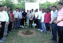 NTPC Korba Celebrates World Environment Day with Tree Plantation Drive, Walkathon & Pledge Ceremony