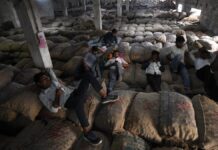 Haveri to get 8,794-tonne cold storage to serve needs of farmers, work launched by Karnataka Minister