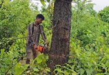 Raigarh – गारे पाल्मा- II कोल ब्लॉक : अदानी ने 1500 पेड़ों की कटाई शुरू की, ग्रामीण विरोध में उतरे तो पुलिस ने किया गिरफ्तार