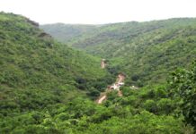 Cautious welcome to final notification on area around Kappatagudda Wildlife Sanctuary