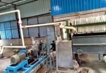 Wealth from waste: how crop residue can provide nutritious cattle fodder, make farming eco-friendly