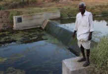 Adani Foundation at ACC Wadi empowers Halakatta farmers with year-round irrigation through check dam