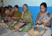 Labour Welfare Schemes Extend Support to Over 50 Lakh Unorganised Workers Across India