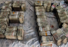 ED raids Himachal Pradesh assistance drug controller for bribery, extortion