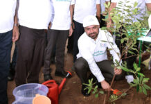 छत्तीसगढ़ स्टेट पॉवर कंपनी अध्यक्ष डॉ. रोहित यादव ने किया 50 हजार पौधे लगाने का आगाज