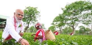 PM Modi visits tea garden in Assam’s Dibrugarh, calls it a ‘memorable experience’
