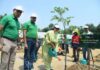 Every Plant will become a Memory and a Green Heritage: Balco CEO RK Singh