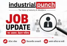 Job Update : बैंक ऑफ इंडिया में 779 पदों पर भर्ती, अनुभवी क्रेडिट प्रोफेशनल्स के लिए सुनहरा अवसर