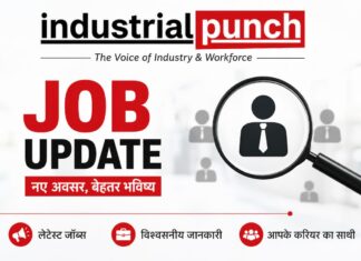 Job Update : बैंक ऑफ इंडिया में 779 पदों पर भर्ती, अनुभवी क्रेडिट प्रोफेशनल्स के लिए सुनहरा अवसर