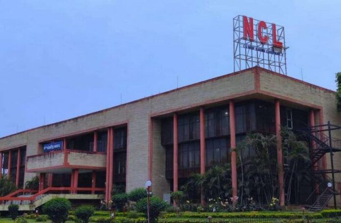 ncl office (1)