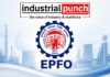 प्राइवेट नौकरी वालों के लिए बड़ी खबर! EPFO 3.0 में नई पेंशन योजना की तैयारी