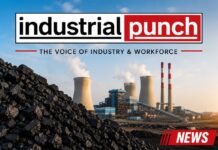 Coal Alert: 26 बिजली संयंत्रों में Critical Coal Stock, बिजली उत्पादन पर बढ़ी निगरानी