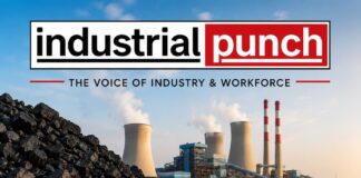Coal Alert: 26 बिजली संयंत्रों में Critical Coal Stock, बिजली उत्पादन पर बढ़ी निगरानी