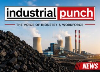 Coal Alert: 26 बिजली संयंत्रों में Critical Coal Stock, बिजली उत्पादन पर बढ़ी निगरानी