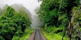रावघाट– जगदलपुर रेल परियोजना को मिली नई रफ्तार, तीसरा EPC टेंडर जारी