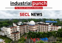 WCL से SECL पहुंचे नरेश त्रिपाठी, वित्त विभाग में एसोसिएट फाइनेंस के पद पर मिली नई जिम्मेदारी