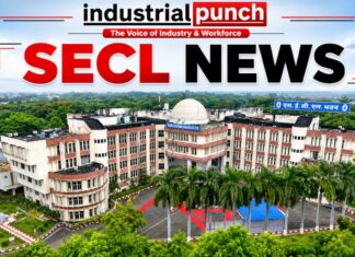 WCL से SECL पहुंचे नरेश त्रिपाठी, वित्त विभाग में एसोसिएट फाइनेंस के पद पर मिली नई जिम्मेदारी