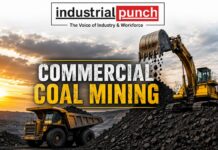 Commercial Coal Mining : 6 कोयला ब्लॉकों की नीलामी, SCCL सहित इन कंपनियों ने जीती बोलियां