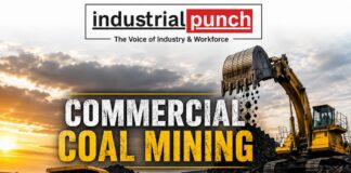 Commercial Coal Mining : 6 कोयला ब्लॉकों की नीलामी, SCCL सहित इन कंपनियों ने जीती बोलियां