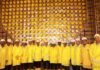 India’s Nuclear Push Gains Momentum as NPCIL Starts Fuel Loading at RAPP-8